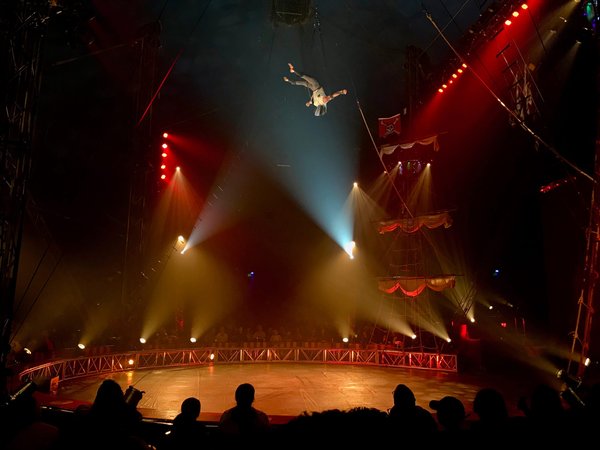 Utiliser efficacement Adobe Acrobat pour la création de documents PDF professionnels