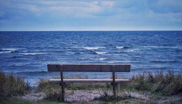 Quel statut choisir quand on est seul ?